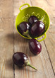 Eggplant