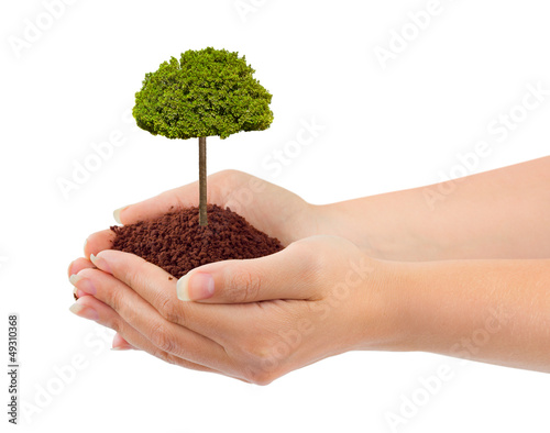Photo: Hands and tree Hands and tree