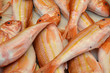 Salmonetes