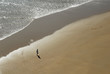 single man jogging on the beach