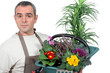 Basket gardener plants