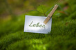 Leben
