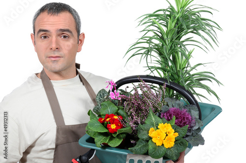 Photo: Basket gardener plants Basket gardener plants