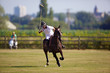 Photo: joueur de polo à cheval joueur de polo à cheval