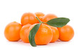 tangerines