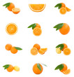 set of oranges