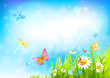 Summer sunny background