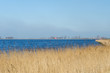Photo: Landscape with water reed and horizon Landscape with water reed and horizon