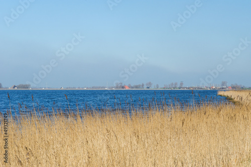Photo: Landscape with water reed and horizon Landscape with water reed and horizon