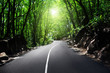 road in jungle