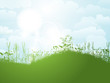 Summer landscape