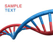 DNA spiral isolated on white background.