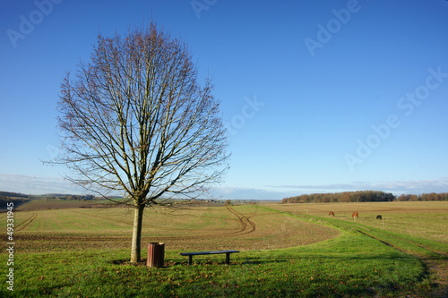 Photo: Paysage campagne 77 Paysage campagne 77
