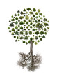 Illustration: Tree Tree