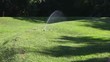 Irrigation in a garden