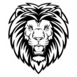 Lion anger