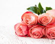 Pink roses