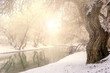 Photo: Winter landscape river Zagyva in Hungary Winter landscape river Zagyva in Hungary