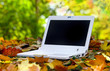 Foto: White Laptop in an automn scene White Laptop in an automn scene