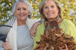Two women raking leaves