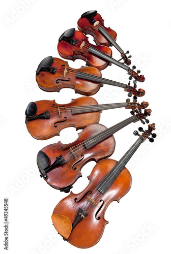 Photo: different sized violins different sized violins