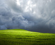 Stormy Hillside