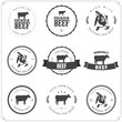 Set of premium beef labels, badges and design elements