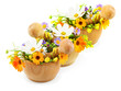 Fresh flowers in mortars isolated on white background