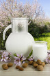 Leche de almendras, jarra y vaso.