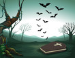 A graveyard in the forest