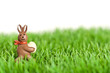 Photo: Osterhase im Gras Osterhase im Gras