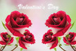 Photo: Beautiful red rose. Beautiful red rose.