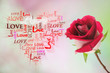 Photo: Beautiful red rose.Valentines day. Beautiful red rose.Valentines day.