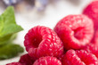 Himbeeren