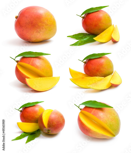 Photo: mango collection mango collection