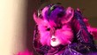 carnevale venezia 2013
