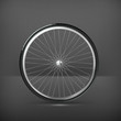 Bicycle wheel