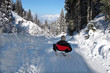 Photo: Rodelspaß - winter fun with sled Rodelspaß - winter fun with sled