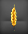 Wheat, icon