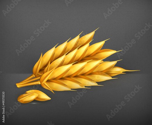 Vector: Wheat icon Wheat icon