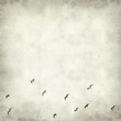 textured old paper background