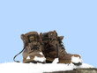 Lederstiefel im Schnee