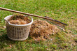Herbst im Garten, autumn in garden
