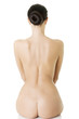 Young beauty nude women back