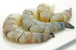 rohe Scampis