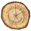 Wood Log