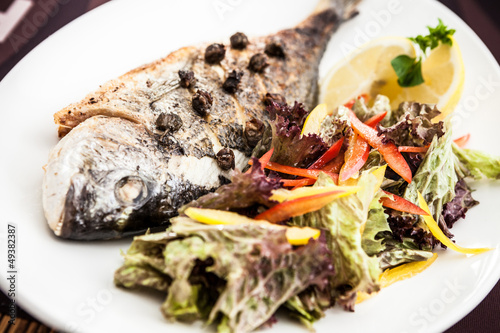 Photo: Gilt-head bream fish Gilt-head bream fish