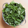 Stinging nettles in colender