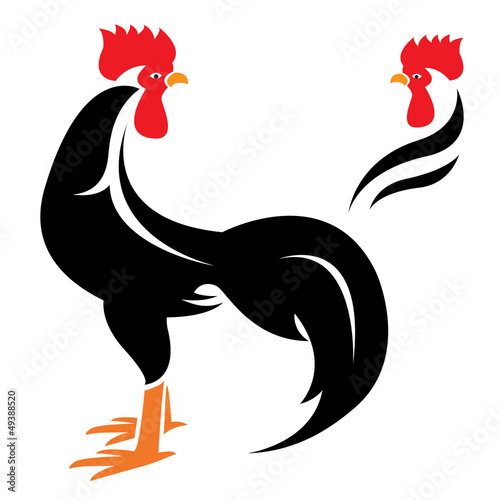 Vector: Vector image of an cock on white background Vector image of an cock on white background