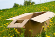 Photo: Karton in der Blumenwiese Karton in der Blumenwiese